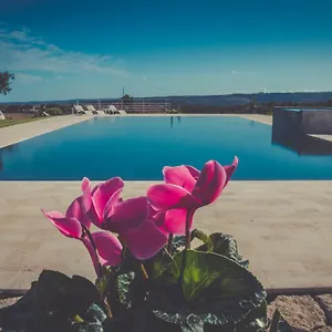 La Mela Di Venere Vakantieboerderij